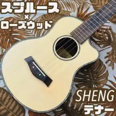 SX SS760 単板トップ 美品 GS Miniサイズ ケース付 - メルカリ