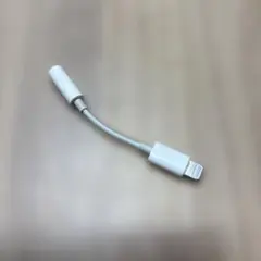 Apple 純正 iPhone イヤホン 変換アダプタ　Lightning ❹