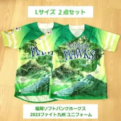 Item thumbnail for item 9893c974-0eb4-4dda-a678-a2fd781a8f88