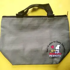 保冷ランチバッグ キャラクターグッズ