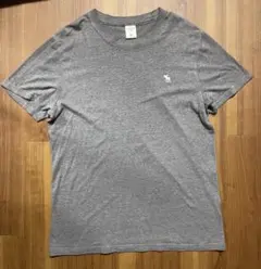 アバクロ　グレー Tシャツ Mサイズ ロゴ刺繍