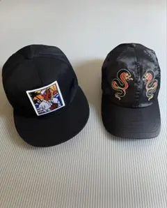 アートワークと蛇刺繍のキャップセット