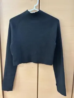 ミスティック　ハイネック クロップド　ラメ入り　サムホール　セーター