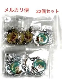 金色のコルダ　アニメイトカフェ　メタルチャーム　22個セット