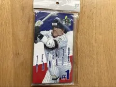 山田哲人 チケットホルダーのサムネイル