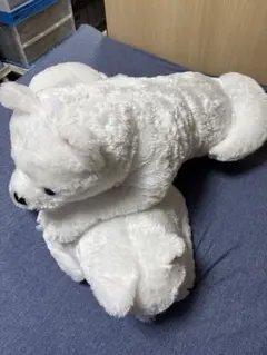 Item thumbnail for item 56b1dcb2-2bcb-4136-b9d0-1c6df041963b