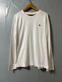 Abercrombie&Fitch ラグランロゴロングTシャツ