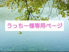 うっちー様専用ページ