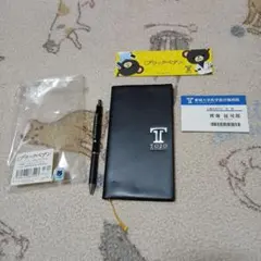 Item thumbnail for item f3e3c0a9-ef5d-40ef-8d3f-9fdb9165e9ed