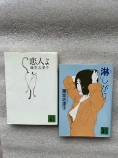 藤堂志津子❸傑作2冊①恋人よ②淋しがり〜大人の恋愛小説、愛と性の荒野に立ち尽くす