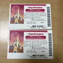 東京ディズニーランド ニューイヤーズパス　使用済み