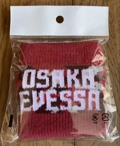 大阪エヴェッサ　レイパークスジュニア　リストバンド