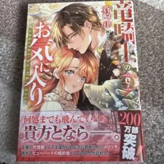 竜騎士のお気に入り⑨