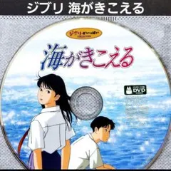 海がきこえる('93徳間書店/日本テレビ放送網)等々本編ディスクのみ16枚セット 海がきこえる('93徳間書店/日本テレビ放送網)等々本編ディスク