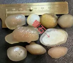 アラシャンゴビ瑪瑙 原石 花眼 飴心 320g 置物 水槽 ゴビ石 ゴビ瑪瑙 