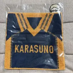 Item thumbnail for item 48aeabbe-df72-41c6-97f1-2a701dc750f8