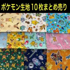 ポケモン 生地 はぎれ 10枚セットまとめ売り