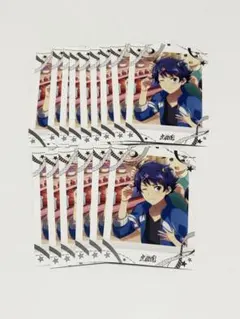 SideM 大河タケル ぱしゃこれ 10弾 ノーマル15枚セット