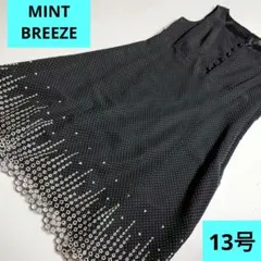 MINT BREEZEミントブリーズ・ヒロタ★ノースリーブ膝丈刺繍ワンピース13のサムネイル