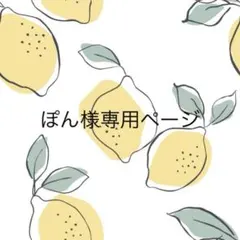 ぽん様専用ページ