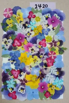 92様 リクエスト 6点 まとめ商品