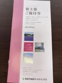 東急不動産ホールディングス 株主優待 宿泊券 ゴルフ割引券