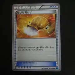 せいなるはい 073/080 U XY2 ワイルドブレイズ 難あり プレイ用