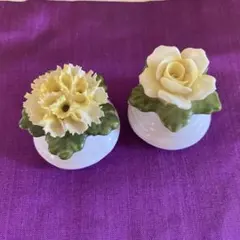 イギリスAynsley エンズレイ ペッパー&ソルト入れのサムネイル