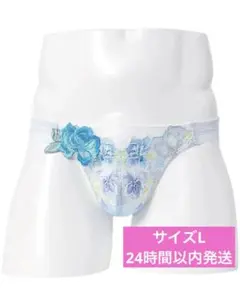 週末限定値下げ★サルート24g 予約限定コレクション GY　D70＆ソングМ サルート24g 予約限定コレクション GY D70＆ソングМ Salute