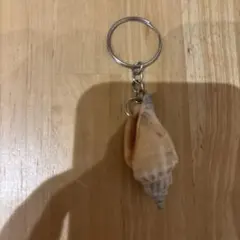 貝殻 キーホルダー