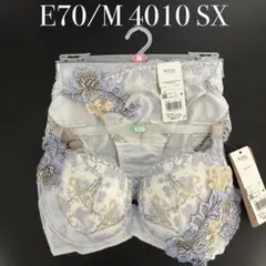E70/M PB4010 PF4010 SX ワコール　ウイング　レシアージュのサムネイル
