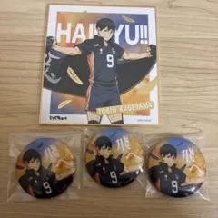 ハイキュー　影山