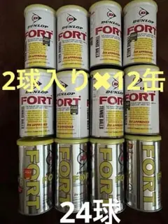 DUNLOP FORT (ダンロップフォート)硬式テニスボール