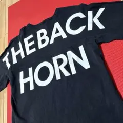 THE BACK HORN ロングT トレーナー Ｌ　大きめ　バックホーン