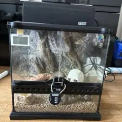 エキゾテラグラステラリウムナノのサムネイル