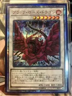 【ARS鑑定10＋】ブラックローズドラゴン　20thシク　遊戯王　日版 Amazon.co.jp: 遊戯王 / ブラック・ローズ・ドラゴン（20th