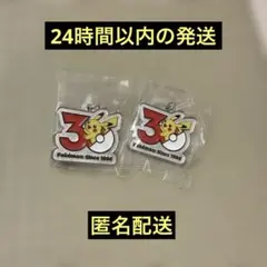 ポケモン 30周年メタルチャームマスコット　ピカチュウ2個セット
