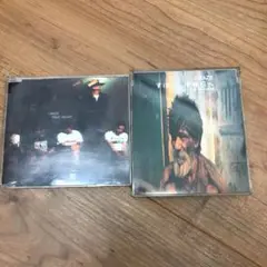 廃盤！Greco TV800-SE 飯田成一 ベース★ZI:KILL★DVD Greco TV-800SE 【飯田成一 Signature Model】 ソニックス特価