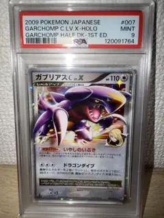 2025年最新】ポケモンカード ガブリアスvsリザードン 対戦スターター