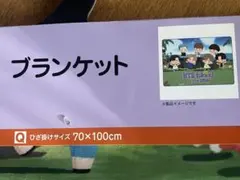 BTS インザソム⭐︎ブランケット 70×100cm