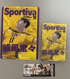 ハイキュー　ショーセツバン　B5ビジュアルボード