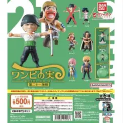 【ワンピの実】5体セット