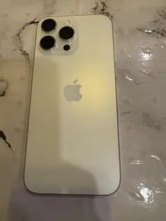 Apple iPhone 15 Pro Max 本体