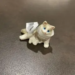 ラグドール　ミニチュアプラネット　miniature planetのサムネイル