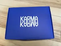 straykids スキズ　karma ceremony 通常盤