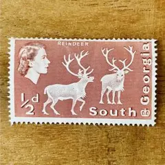 Item thumbnail for item 500ad5a2-230a-4673-9ef7-3fead4cf52f8