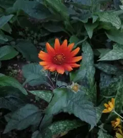 ゆう様 リクエスト 2点 まとめ商品