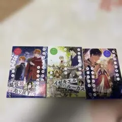 ある日、お姫様になってしまった件について7.8.9.巻 じょう様専用