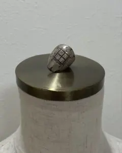 SHINICHIRO ARAKAWA M・A・ R・ S ringのサムネイル