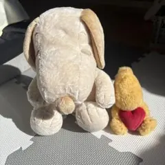 PEANUTS SNOOPY